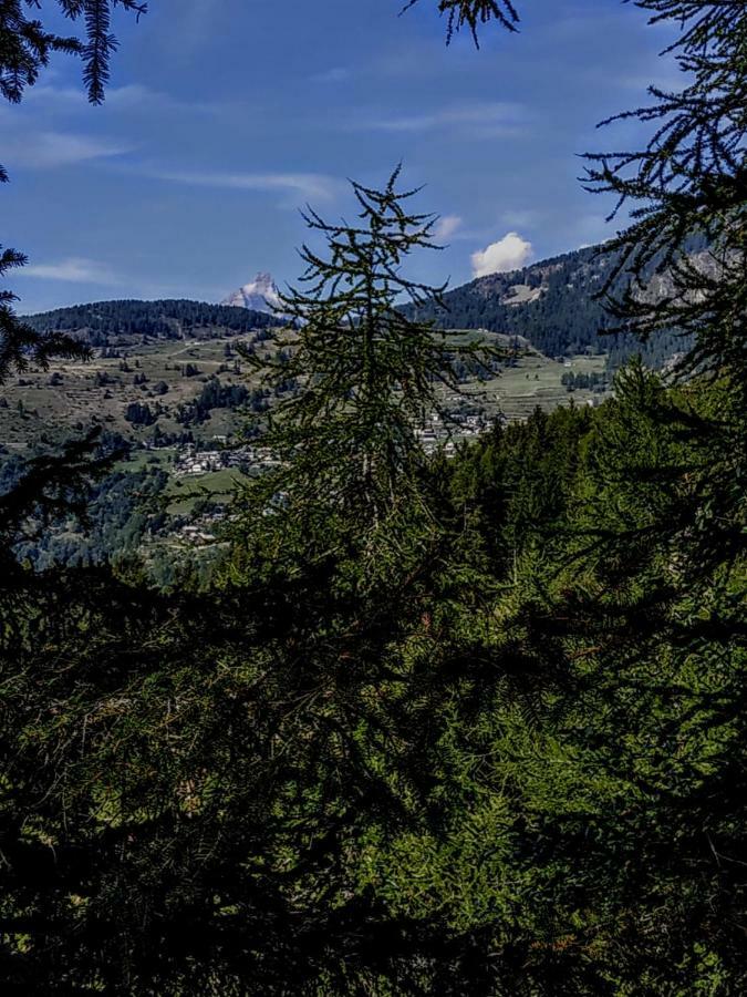 Chez Tonton Wi-Fi Villa Aosta Luaran gambar